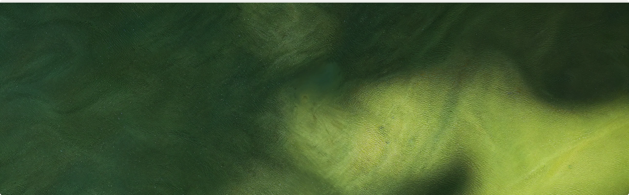 What Happens In Your Body In Two Months