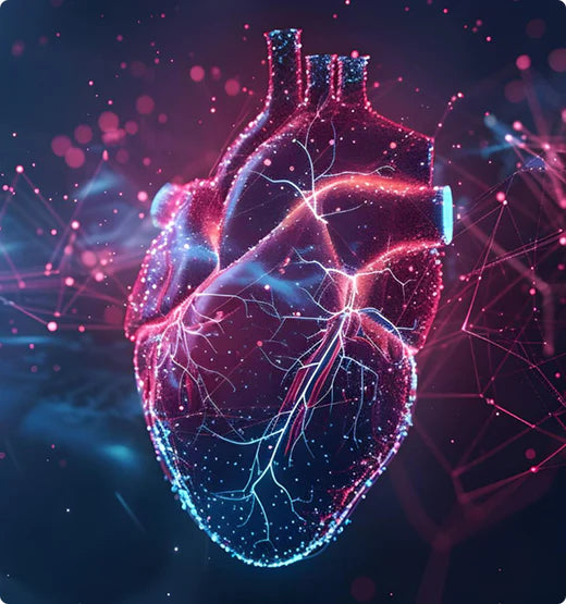 Cardiovascular & Circulatory Health