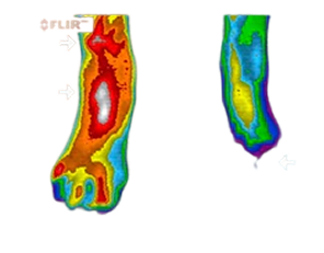 Before thermal image